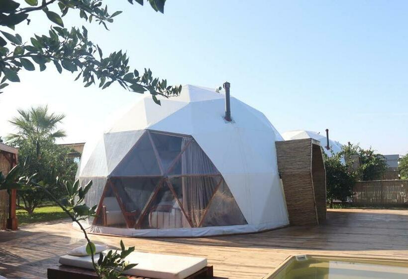 스탠다드 룸 가든 전망, Mandalin Glamping