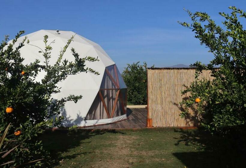 스탠다드 룸 가든 전망, Mandalin Glamping