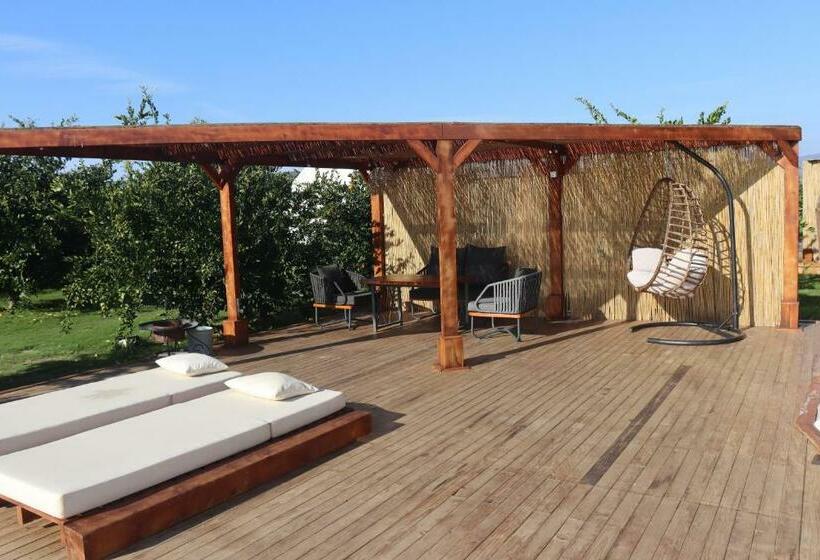 스탠다드 룸 가든 전망, Mandalin Glamping