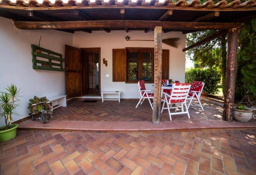 스탠다드 룸, Le Yucche