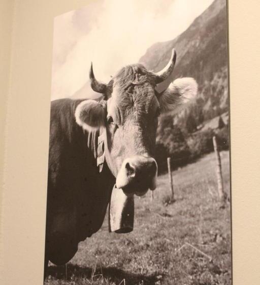 Апартаменты 1 Спальня Нижний Этаж, Novitel Apartements Heimstetten