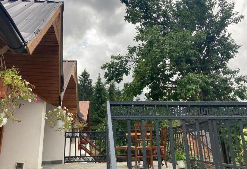 Номер Стандарт, Bujtina Arturi