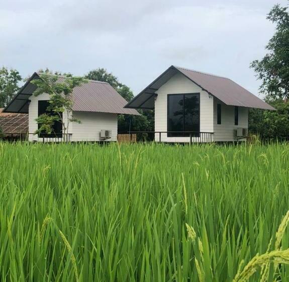 חדר סטנדרט נוף להרים, Pua Na Nan Camping ปัวนาน่านแคมป์ปิ้ง