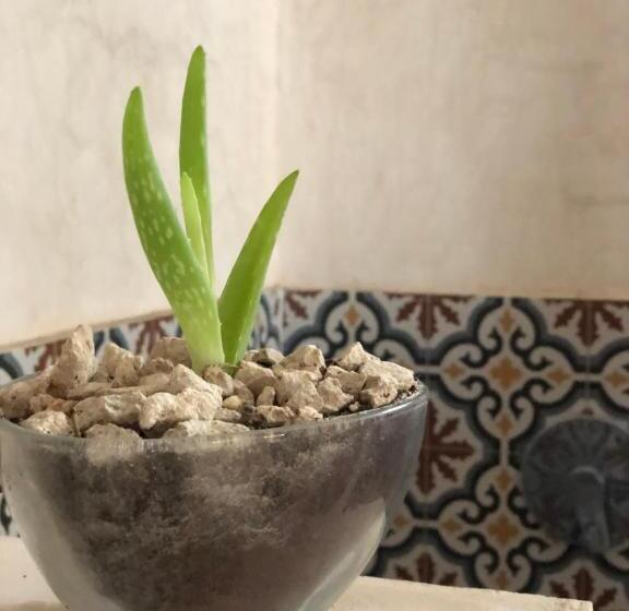 اتاق سوپریور, Boutique Can Cocal El Cuyo