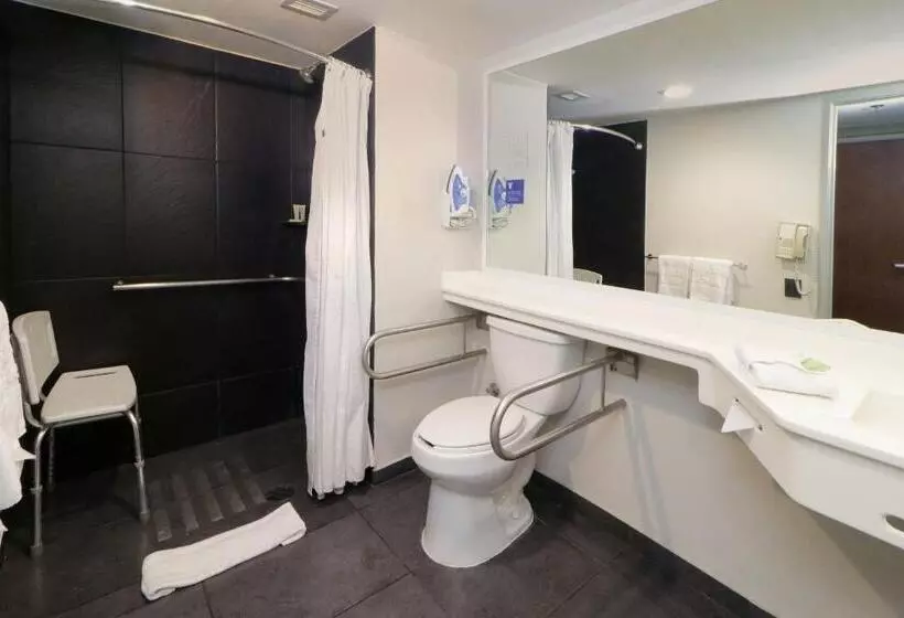 اتاق استاندارد, City Express By Marriott Ciudad Victoria