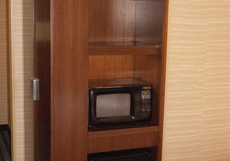 带大床的标准间, Fairfield Inn And Suites Canton South