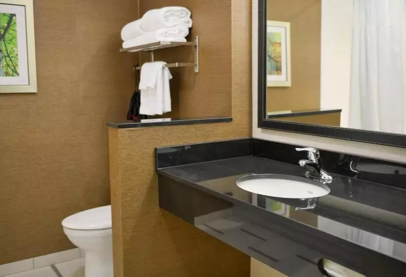 キングサイズベッドのスタンダードルーム, Fairfield Inn And Suites Canton South