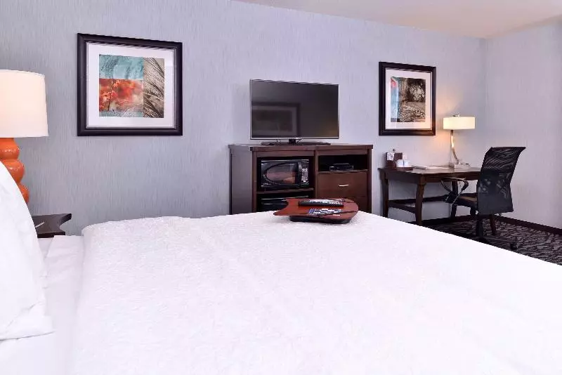 Standard-huone King-vuode, Hampton Inn Rome