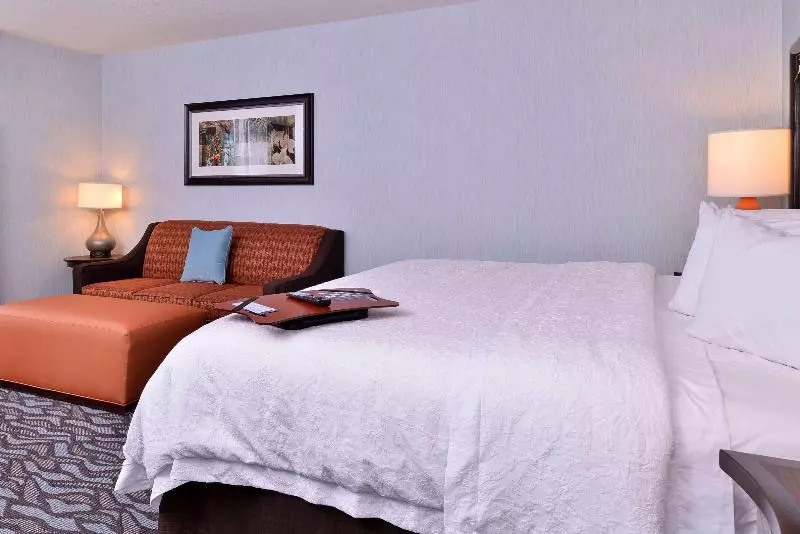 Standard-huone King-vuode, Hampton Inn Rome