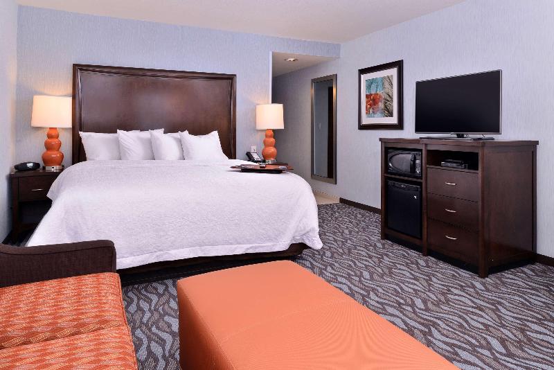 스탠다드 룸 킹사이즈 침대, Hampton Inn Rome