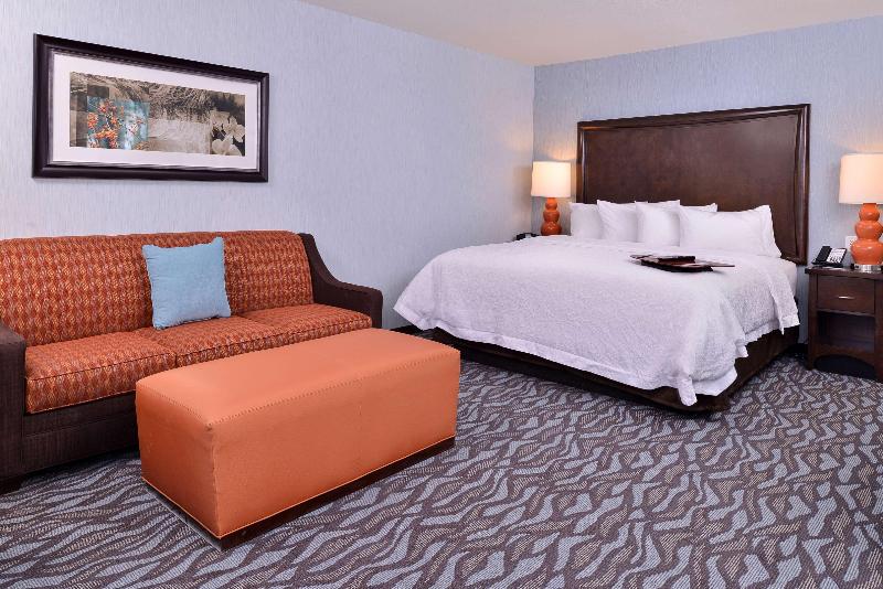 스탠다드 룸 킹사이즈 침대, Hampton Inn Rome