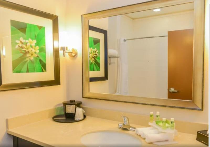 身障者適用スイートルーム, Holiday Inn Express Hotels & Suites Cuero, An Ihg