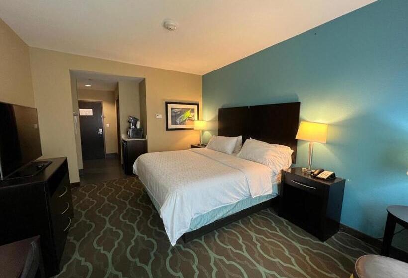 キングサイズベッドのスタンダードルーム, Holiday Inn Express Hotels & Suites Cuero, An Ihg