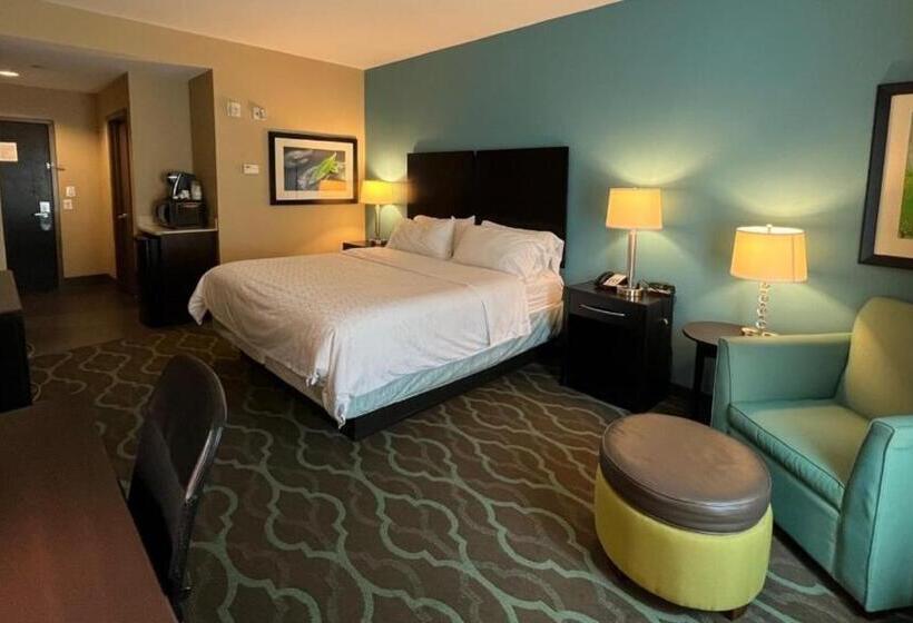 キングサイズベッドのスタンダードルーム, Holiday Inn Express Hotels & Suites Cuero, An Ihg