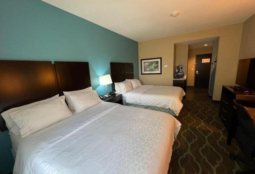 スタンダードルーム, Holiday Inn Express Hotels & Suites Cuero, An Ihg