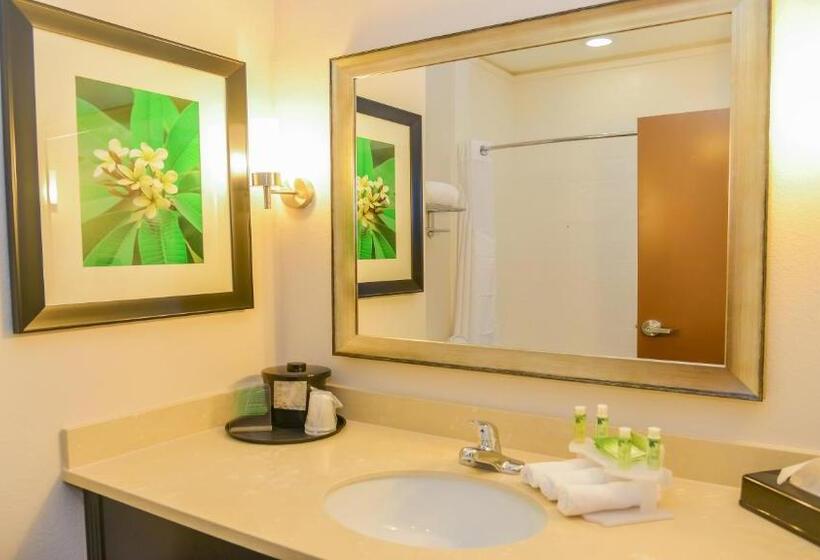 סוויטה מותאמת לאדם עם מוגבלויות, Holiday Inn Express Hotels & Suites Cuero, An Ihg