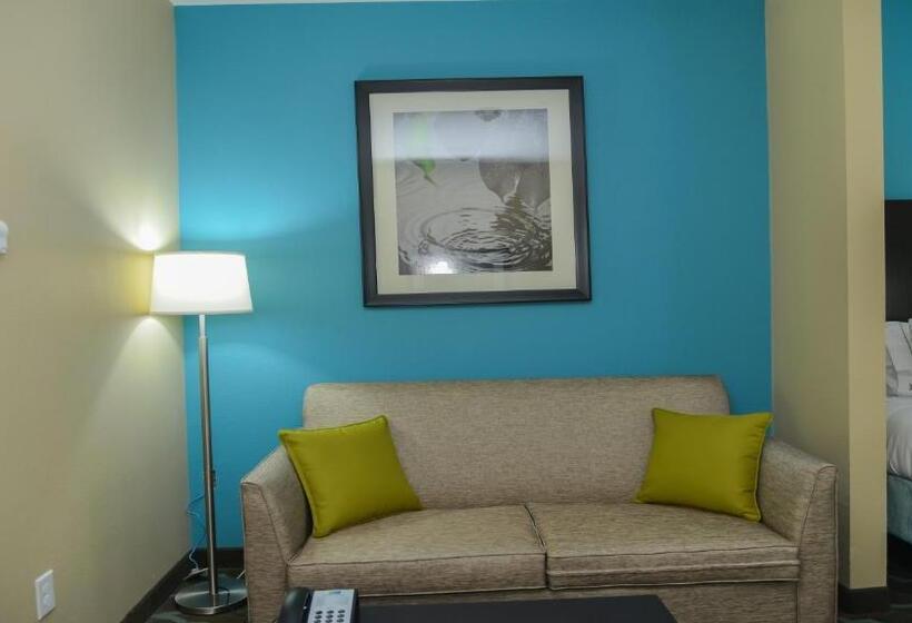 身障者適用スイートルーム, Holiday Inn Express Hotels & Suites Cuero, An Ihg