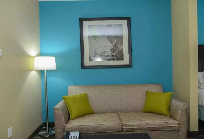 Sviitti Liikuntarajoitteisille, Holiday Inn Express Hotels & Suites Cuero, An Ihg