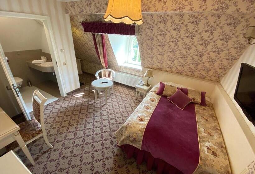 スタンダードシングルルーム, Pałac Borynia