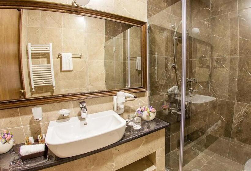 اتاق سوپریور با چشم‌انداز شهر, Tbilisi Laerton