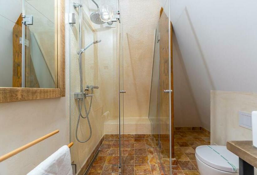 غرفة ديلوكس, Wanderer Sighisoara