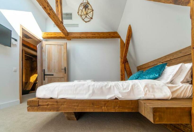 غرفة ديلوكس, Wanderer Sighisoara