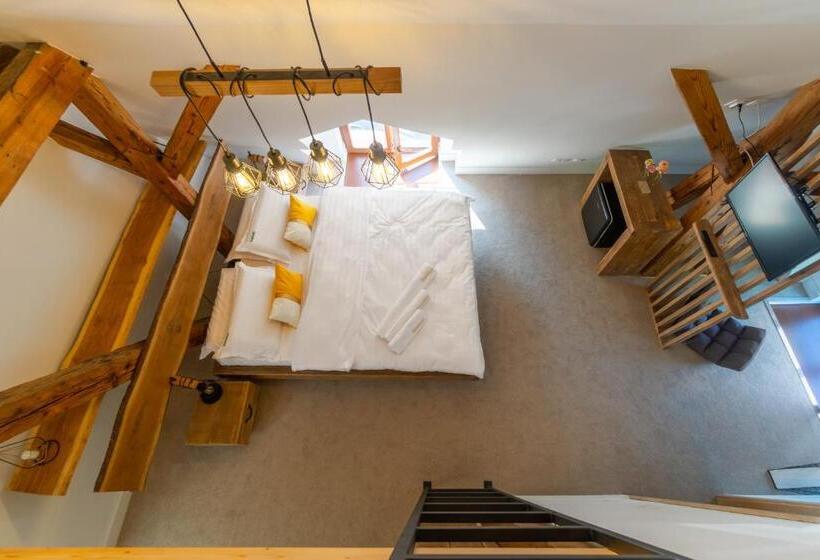 غرفة ديلوكس, Wanderer Sighisoara