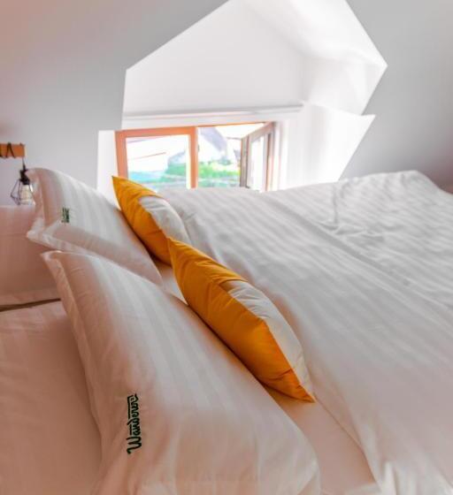 غرفة ديلوكس, Wanderer Sighisoara