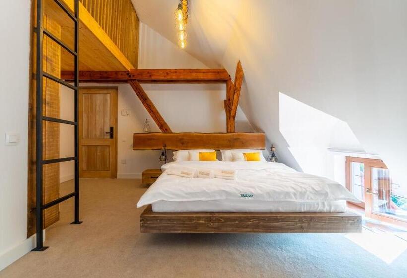 غرفة ديلوكس, Wanderer Sighisoara