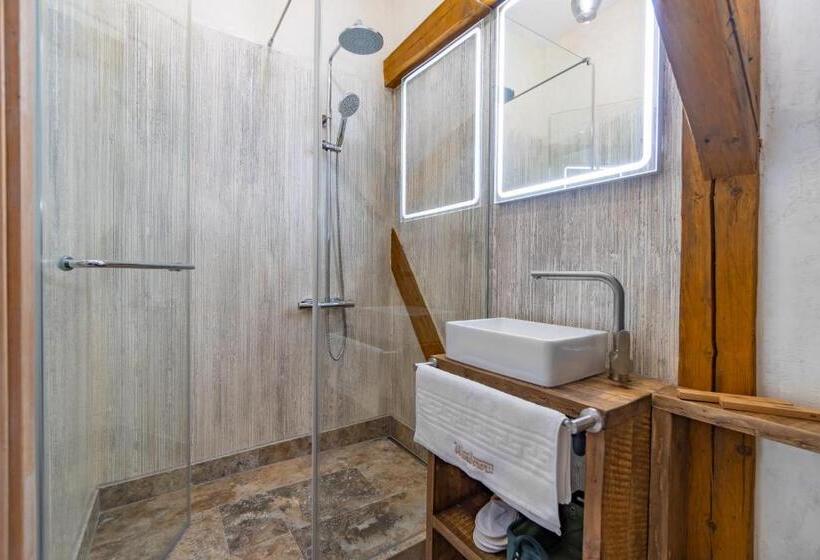 غرفة ديلوكس سرير كينج, Wanderer Sighisoara