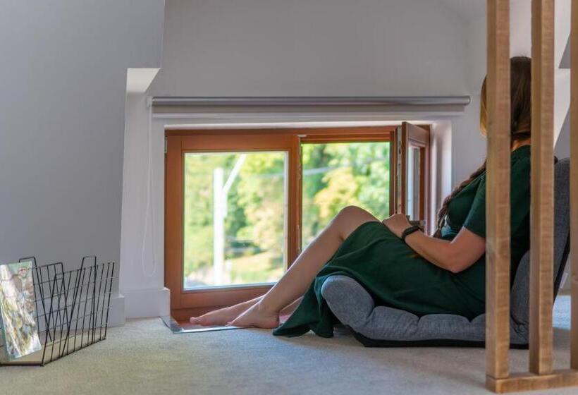 غرفة ديلوكس سرير كينج, Wanderer Sighisoara