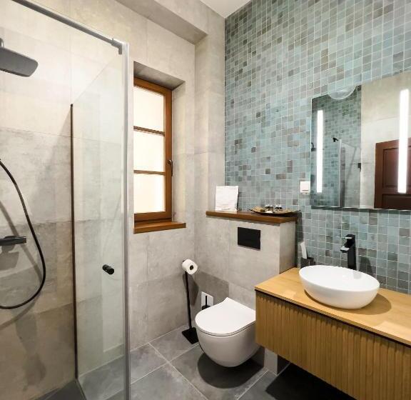 غرفة سوبيريور, Wanderer Sighisoara