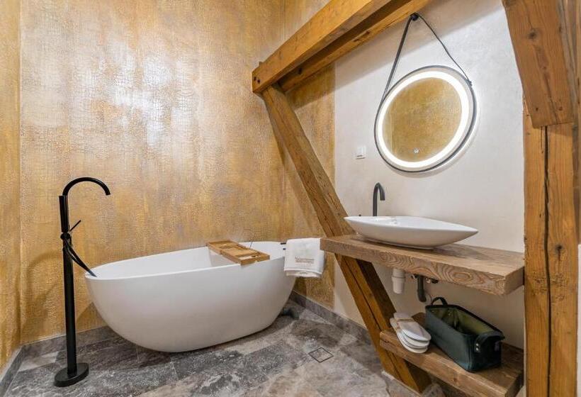 شقة غرفة واحدة, Wanderer Sighisoara