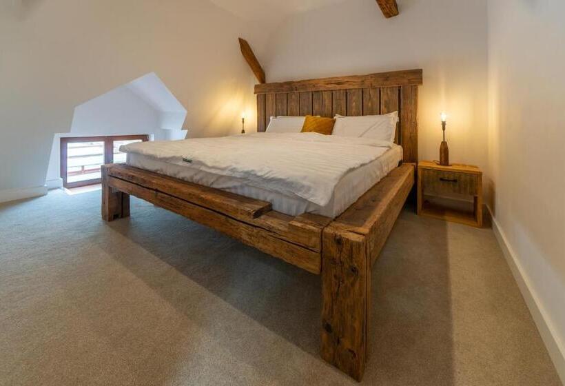 شقة غرفة واحدة, Wanderer Sighisoara