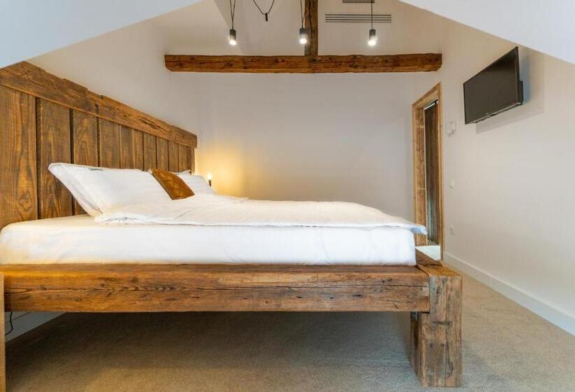 شقة غرفة واحدة, Wanderer Sighisoara