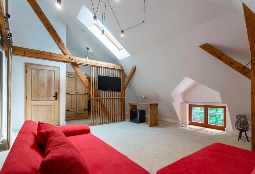 شقة غرفة واحدة, Wanderer Sighisoara