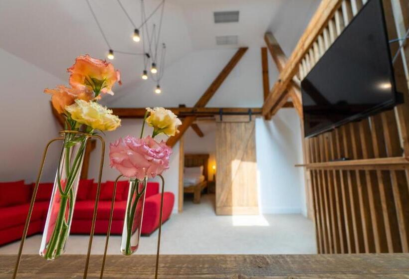 شقة غرفة واحدة, Wanderer Sighisoara