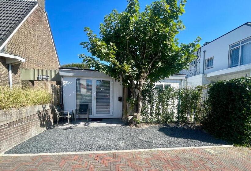 استودیو استاندارد با تراس, Royal Green