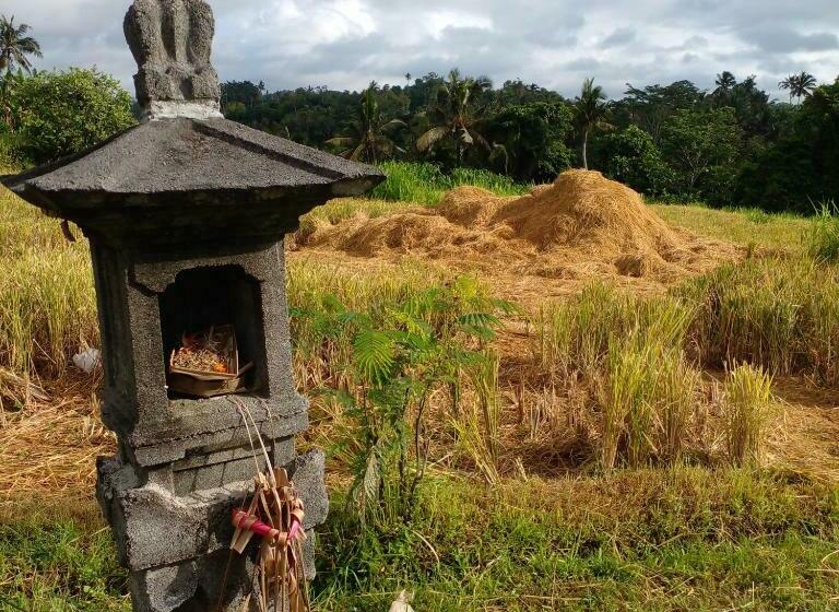 غرفة قياسية فردية, Bali Livin,tayehomestay