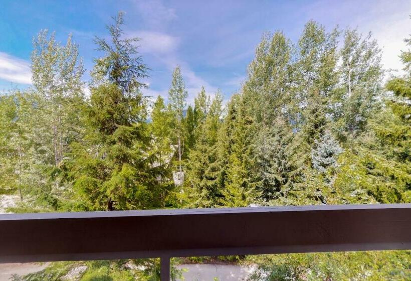 استودیوی استاندارد, Greystone Lodge