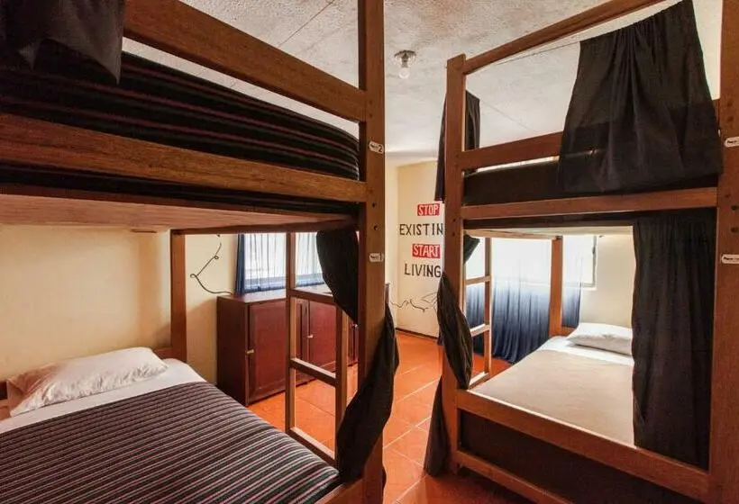 ルームシェアのワンベッド, Papachos Hostel