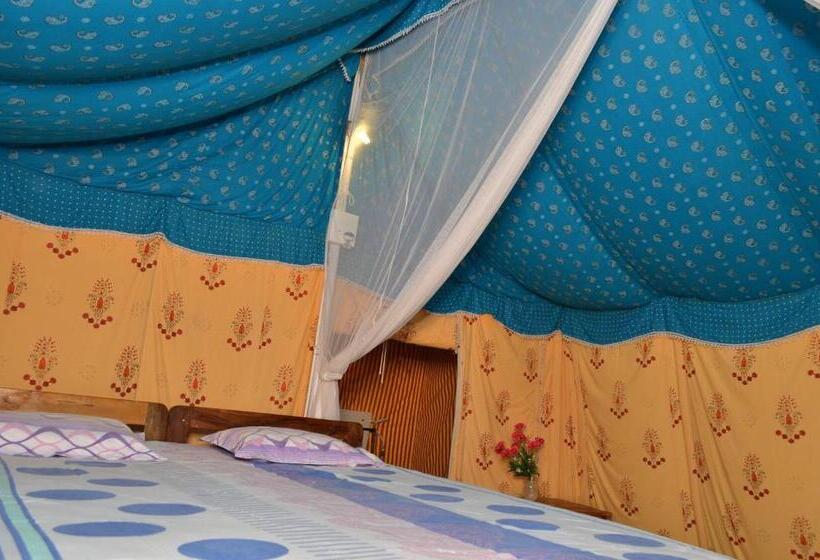 Standard Tent, Cola Beach Sunset Bay