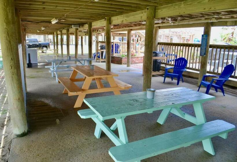 جناح جونيور, Blue Dolphin Inn And Cottages