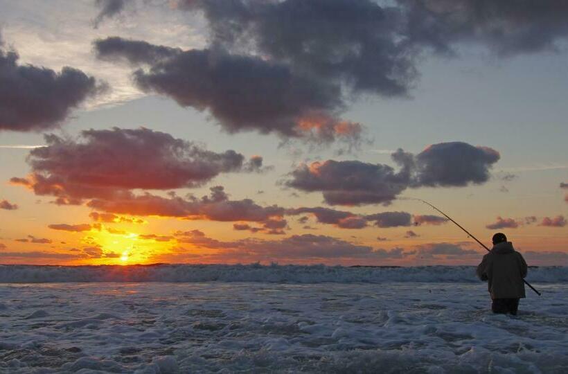 جناح ديلوكس, Blue Dolphin Inn And Cottages