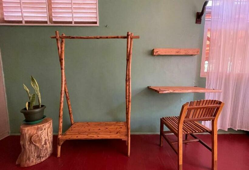 اتاق استاندارد با چشم‌انداز باغ, Jinja Backpackers