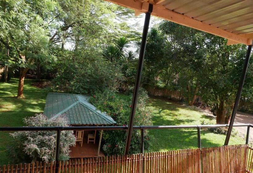 اتاق استاندارد چهارنفره با بالکن, Jinja Backpackers