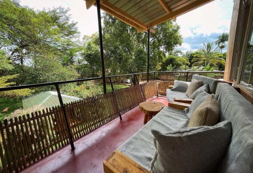 اتاق استاندارد چهارنفره با بالکن, Jinja Backpackers