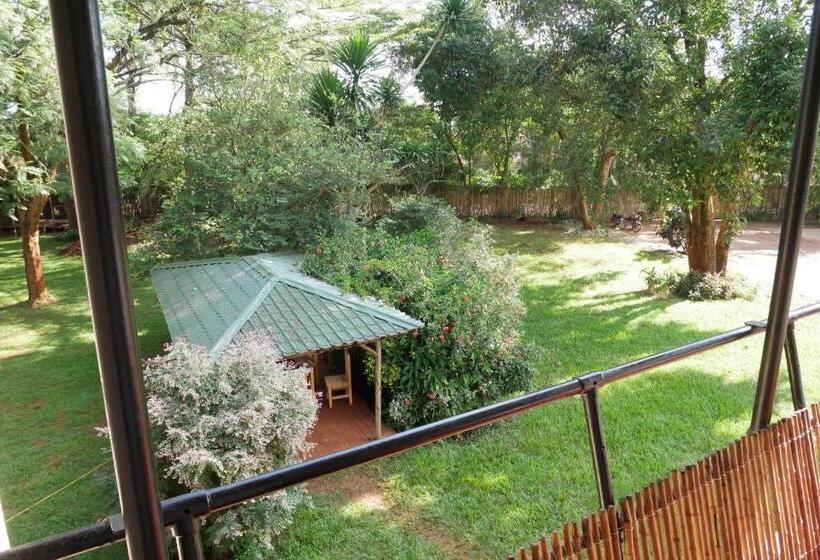 اتاق استاندارد چهارنفره با بالکن, Jinja Backpackers