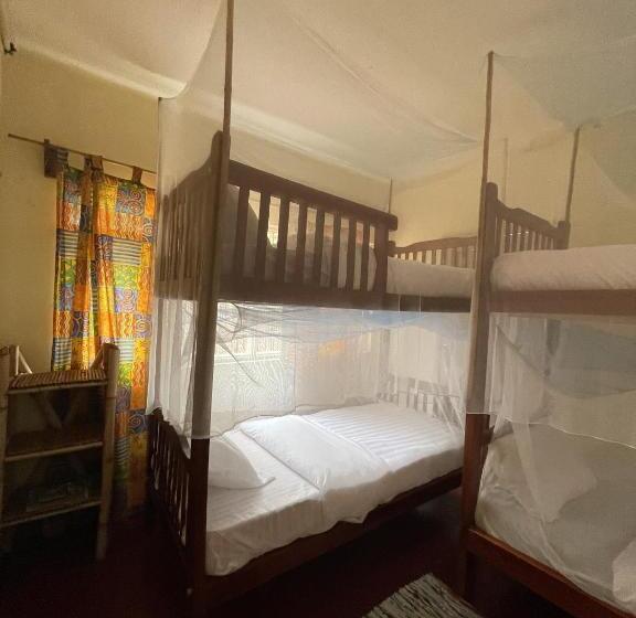 تختخواب در اتاق مشترک, Jinja Backpackers
