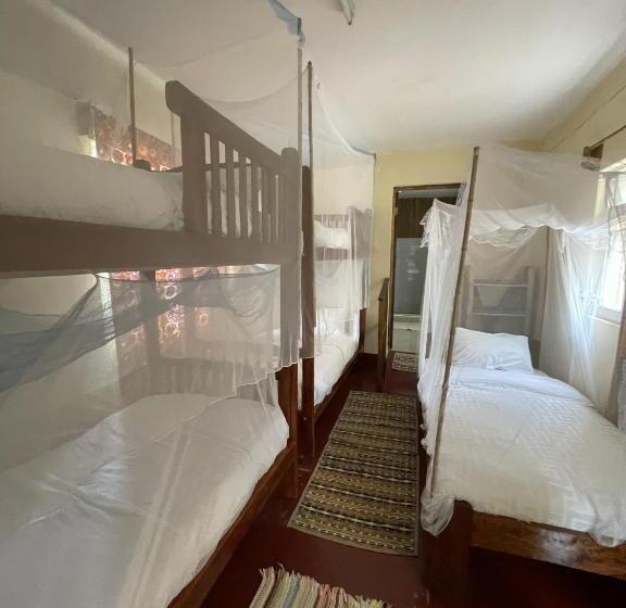 تختخواب در اتاق مشترک, Jinja Backpackers